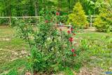 122 Mistie Ridge Ln - Photo 40