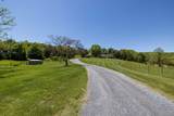 234 Paradise Ln - Photo 53