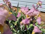 7230 Plank Rd - Photo 34