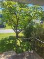 312 Austin Ave - Photo 25