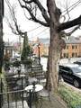 412 Jefferson St - Photo 14