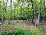 4734 Maple Sugar Rd - Photo 12