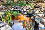 1059 Bryant Mountain Rd - Photo 45