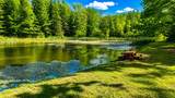 LOT 170 Forest Ridge Trl - Photo 13