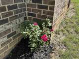 20 Bingham St - Photo 8