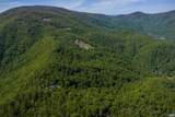 Lot E Brokenback Mountain Rd - Photo 1