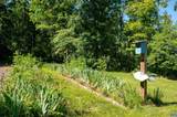 226 Mill Creek Rd - Photo 42