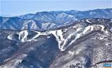 1641 Overlook Condos - Photo 49
