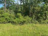 TBD 1.99 Acres Parkersburg Tpke - Photo 1