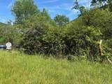 TBD 1.99 Acres Parkersburg Tpke - Photo 3