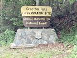 2221 Crabtree Falls Hwy - Photo 48