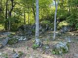 20 Buckhorn Ln - Photo 3