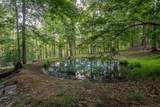 22606 German River Rd - Photo 60