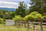 10139 Chinkapin Dr - Photo 8