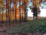 48-13o,13v&13u Courthouse Mountain Rd - Photo 8