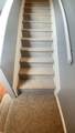 1337 Bradley Dr - Photo 13