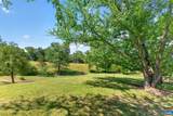 631 Buck Mountain Rd - Photo 31