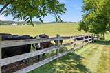 3466 Retreat Ln - Photo 28