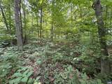 383 Timber Camp Dr - Photo 4