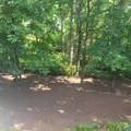 1865 Bargamin Loop - Photo 21