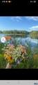 1294 Randolph Creek Rd - Photo 11