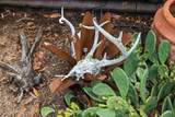 660 Sterrett Rd - Photo 38
