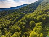 329 Jones Mountain Rd - Photo 34