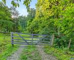 329 Jones Mountain Rd - Photo 35
