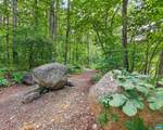 329 Jones Mountain Rd - Photo 37