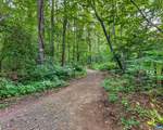 329 Jones Mountain Rd - Photo 38
