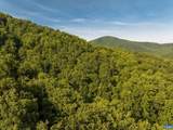 329 Jones Mountain Rd - Photo 43