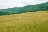 4600 Mountain Tpke - Photo 34
