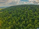 TBD Frog Hollow Rd - Photo 18
