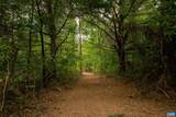 TBD Frog Hollow Rd - Photo 21