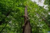 TBD Frog Hollow Rd - Photo 25