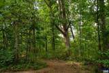 TBD Frog Hollow Rd - Photo 28