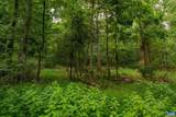 TBD Frog Hollow Rd - Photo 32