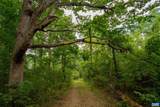 TBD Frog Hollow Rd - Photo 34