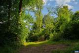 TBD Frog Hollow Rd - Photo 41