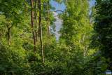 TBD Frog Hollow Rd - Photo 43