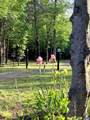 780 Old Stoney Creek Rd - Photo 49