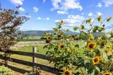 347 Clover Hill Rd - Photo 48