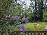 604 Oak Leaf Rd - Photo 34