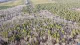 0 Beaverdam Rd - Photo 11