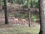 250 Bobcat Ln - Photo 20