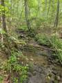 574 Mountain Slope Ln - Photo 5