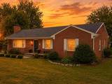 219 Robin Rd - Photo 3