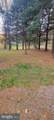 3457 Lucas Hollow Rd - Photo 6