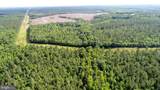 13251 Brooke Ridge Ln - Photo 4