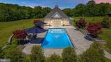 10042 Cedar Spring Ln - Photo 70